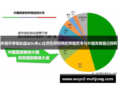 多措并举破解国家队核心球员伤停困局的策略思考与长期发展路径探析 多措并举破解国家队核心球员伤停困局的策略思考与长期发展路径探析